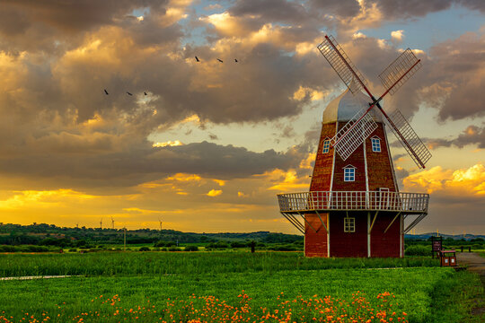 The prairie