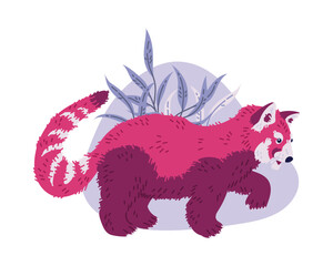 Hand drawn red panda walking, cartoon flat vector illustration isolated on white background.