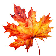 Fototapeta premium autumn