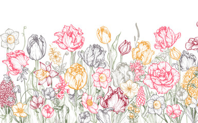 Vector background with beautiful spring flowers in sketch style. - 646253858