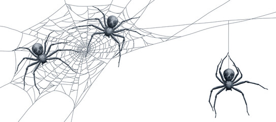 Web with three scary spiders - obrazy, fototapety, plakaty