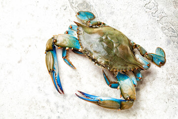 Blue crab cought by Italy's fishermen. An alien species that has colonized Italian, mediterranean...