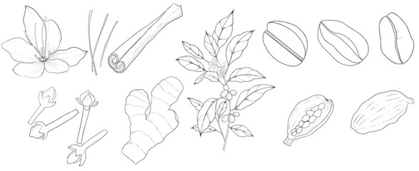 hand drawn illustration of Arabian coffee 