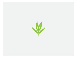 Corn plant logo vector, logo design, vector and illustration,