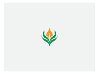 Corn plant logo vector, logo design, vector and illustration,