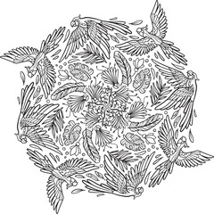 Fototapeta premium Vector hand drawn ara parrot tropical illustration for adult coloring book. Freehand sketch for adult anti stress coloring book page with doodle and zentangle elements