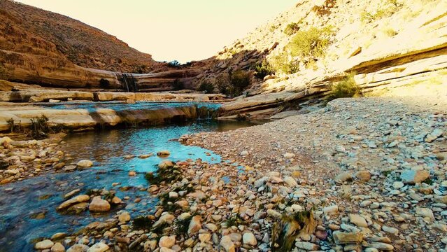 a river in the middle of the sahara desert Algeria Biskra