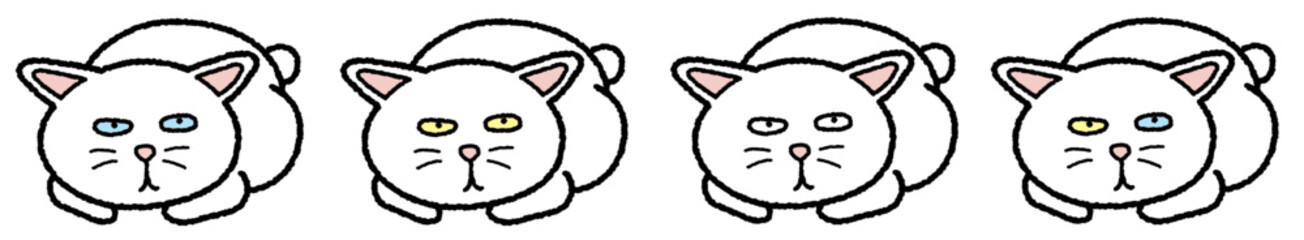 まるまる白猫2