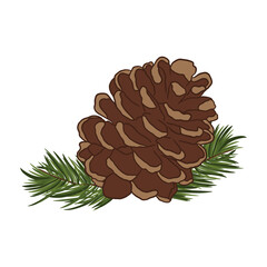 Pine Cone With Cedar