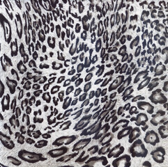 Luxury leopard background. Animal print. Cheetah fur. Jaguar spots. Snow Leopard skin. - 646269667