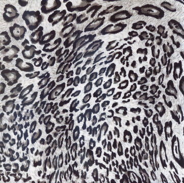 Luxury leopard Animal print. Cheetah fur. Jaguar spots. Snow Leopard skin