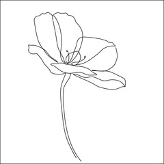 Poppy flower line art. Minimalist contour drawing. One line artwork - 646270805
