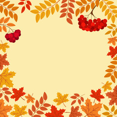 Autumn background with orange, yellow maple leaves and branches of ripe red rowan. Hand drawn vector illustration isolated on light background. Modern flat cartoon style.