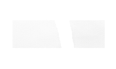 Torn paper edges. Ripped paper texture. Paper tag. White paper sheet for background with clipping path. Close up.