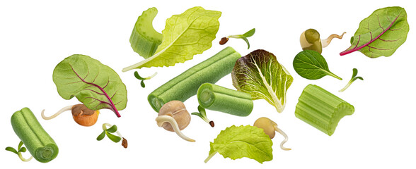 Vegetarian salad with asparagus and sprouted beans isolated on white background