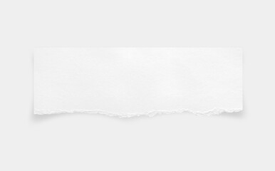 Torn paper edges. Ripped paper texture. Paper tag. White paper sheet for background with clipping path. Close up.