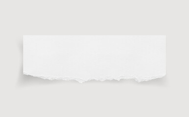 Torn paper edges. Ripped paper texture. Paper tag. White paper sheet for background with clipping path. Close up.