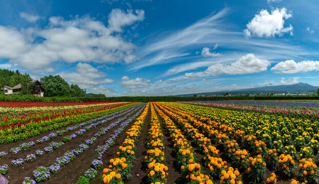 The Japanese island of Hokkaido