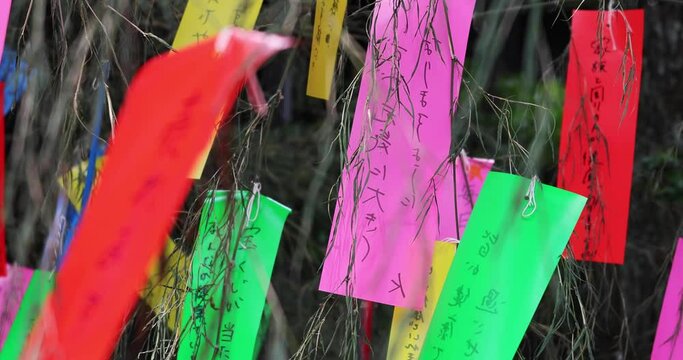 A traditional fortune paper on the bamboo tree handheld shot
