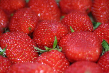 Fraises rouges en gros plan