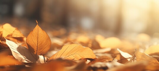 Close up of autumn leaves with motion blur,