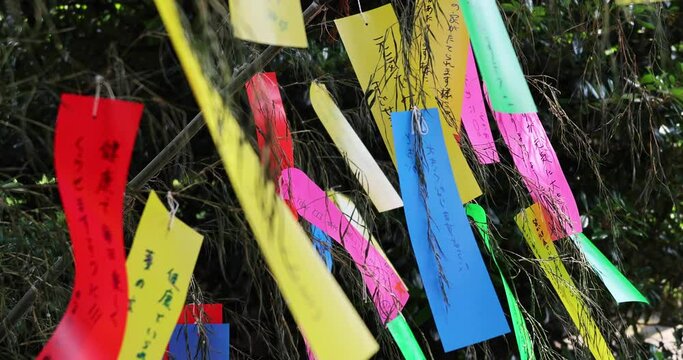 A traditional fortune paper on the bamboo tree handheld shot