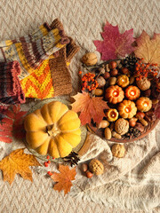 autumn background. Decorative pumpkin shape candles, acorns, nuts, fall leaves in plate, knitted socks on plaid backdrop. Fall season. symbol of harvest, Mabon, thanksgiving, Halloween. top view