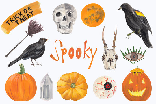Hallooween hand painted clipart set isolated on white background Hand drawn autumn illustrations Great for party invitation, scrapbooking, home decor