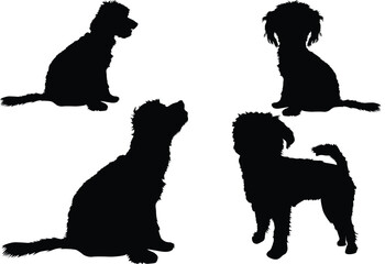 Black silhouette of a poodle dog.