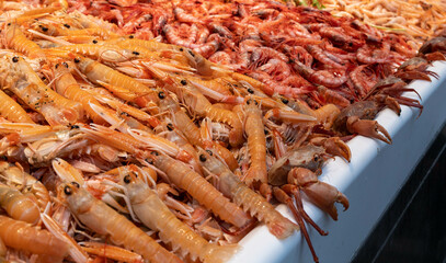 Shrimps and langoustines at a market