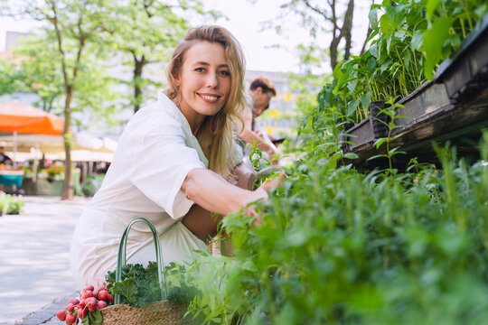 Happy woman choosing mint seedlings in farmer's market