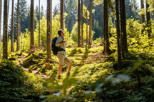 Man with backpack hiking in forest