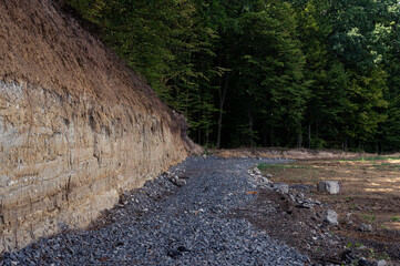 Gray stone road and yellow soil wall in forest with green trees. Scenic, background, wallpaper