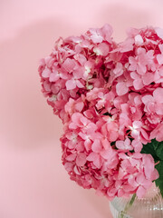 Bouquet of pink hydrangea on a pink background close-up