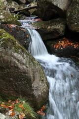 small waterfall hidden in the forest with autumn leaves