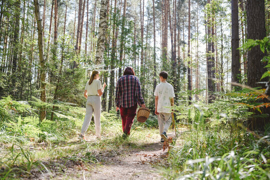Grandmother walking with grandchildren in forest