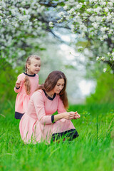 Naklejka na ściany i meble mother and daughter walk through a blooming apple orchard