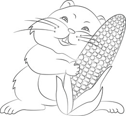 hamster with corn