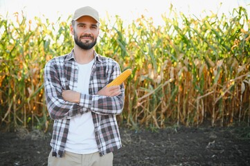 Yong handsome agronomist in the corn field and examining crops before harvesting. Agribusiness concept. agricultural engineer standing in a corn field