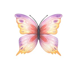 Hand drawn abstract butterfly in purple, yellow, red tones on a white background