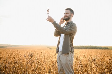 Farmer agronomist on a soybean field. Agricultural industry.