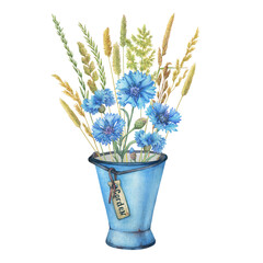 Old blue enamel water pitcher with blue cornflower  flowers (Centaurea cyanus, knapweed or bluett) and meadow spikelets. Hand drawn watercolor painting illustration isolated on white background.