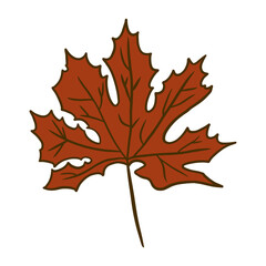 Maple Leaf