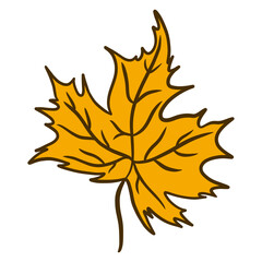 Maple Leaf Drawing