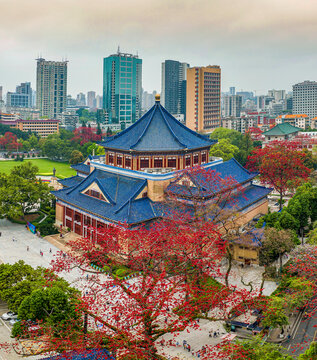 Sun yat-sen memorial hall in guangzhou, guangdong province, kapok blossom scenery