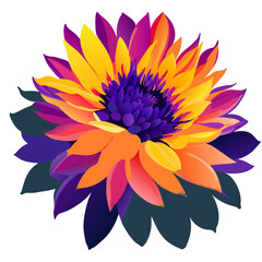 Illustration of a beautiful colorful dahlia flower on a white background