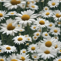 Obraz premium A meadow of daisies forming a giant, swirling, hypnotic pattern that seems to move in the breeze4