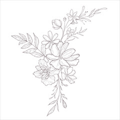 Wedding Bouquet with Wild Rose. Line Art Illustration. - 646304442