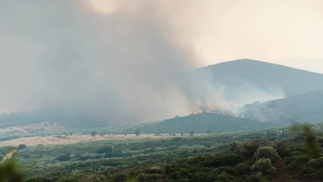 Timelapse Wildfire Smoke Large Brush Fire zoom Shot Greece