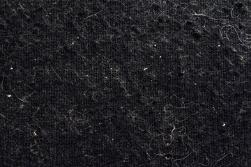 Dirty rug with cat hair and dust in rug. Dirty rug or carpet texture background. The concept of how to remove pet hair and dust in carpet. - obrazy, fototapety, plakaty